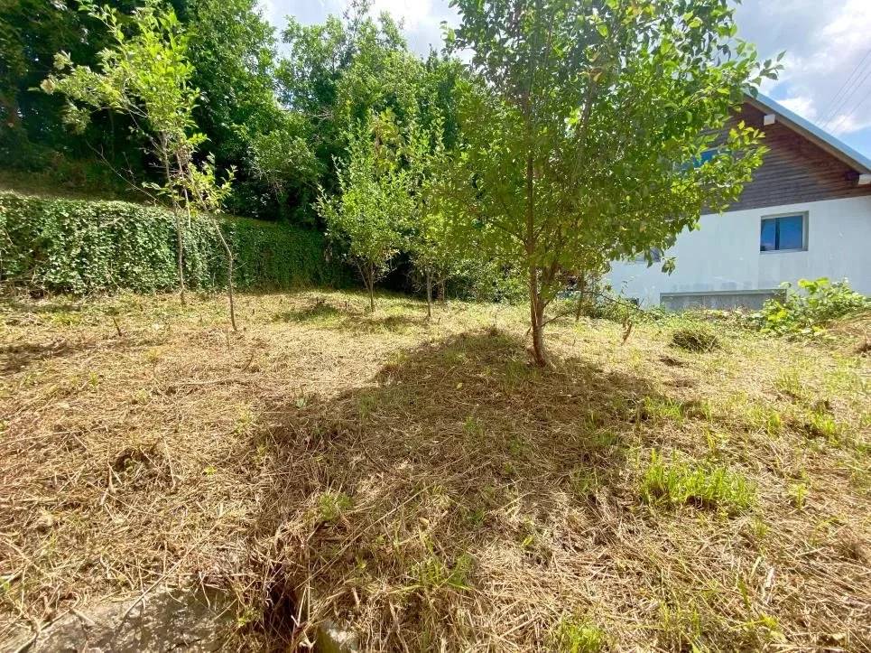 img-gallery